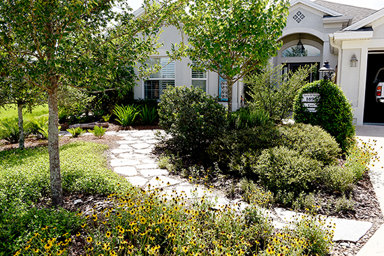 Featured image of post Landscaping Plants For Front Of House In Florida / Planting beds break up the expanse of paving and soften the outdoor living spaces.